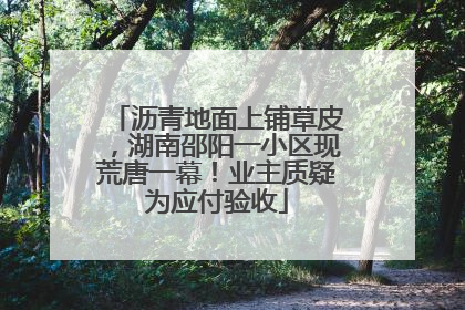 沥青地面上铺草皮，湖南邵阳一小区现荒唐一幕！业主质疑为应付验收